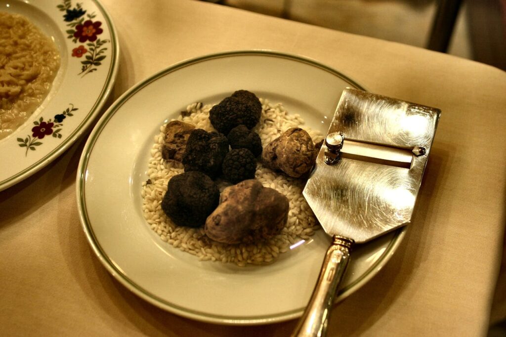 White and black truffles displayed on a bed of risotto rice alongside a truffle slicer—highlighting Piedmont's prized ingredients and culinary tools.