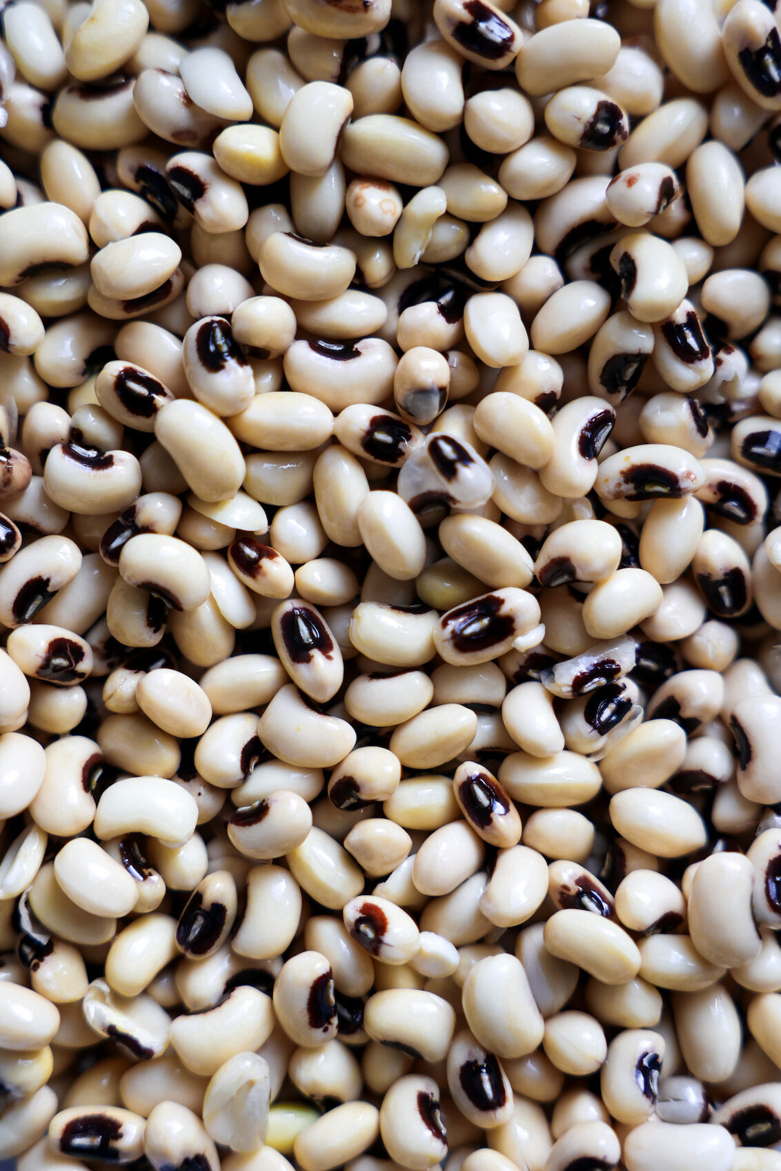 Close-up of dried black-eyed peas — a key West African(Benin) ingredient that became essential in African American dishes like Hoppin’ John.