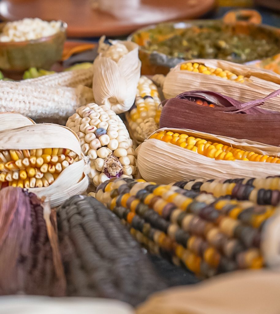 Colorful heirloom corn being prepared for traditional tortilla-making at El Comalote in Antigua, Guatemala.