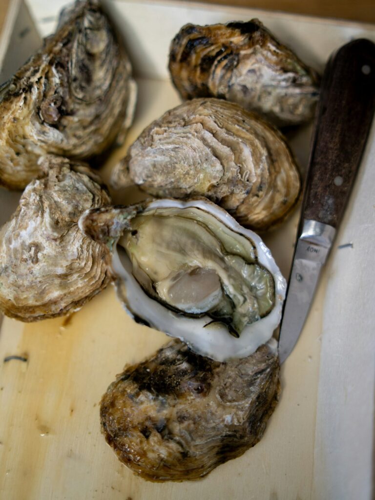 Fresh oysters representing the culinary legacy of Thomas Downing, the African American 'Oyster King' linked to Virginia food history.