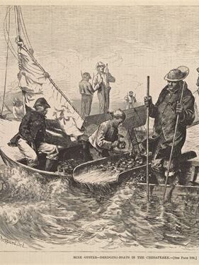 Historic oyster harvesting illustration showing African American culinary labor that connects Virginia’s food roots to Northern cities
