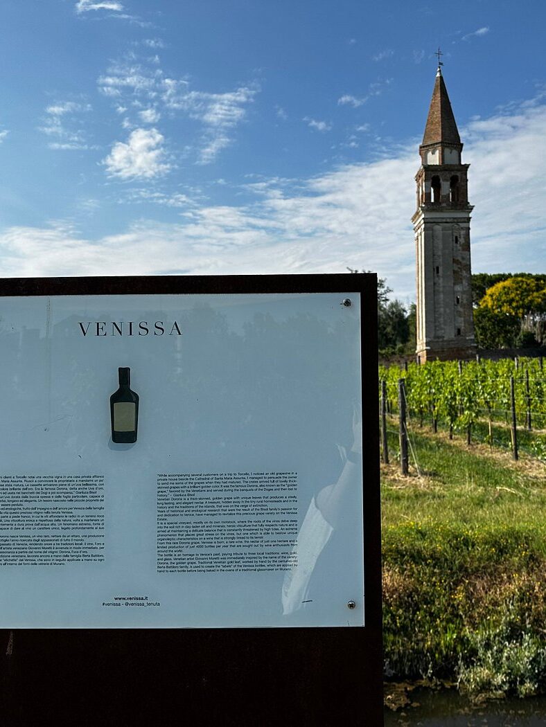 Venissa vineyard and leaning bell tower on Mazzorbo Island near Venice, Italy