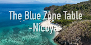 Aerial view of the Nicoya Peninsula coastline in Costa Rica, featuring turquoise waters, a sandy beach, and lush green hills—representing one of the world’s Blue Zones.