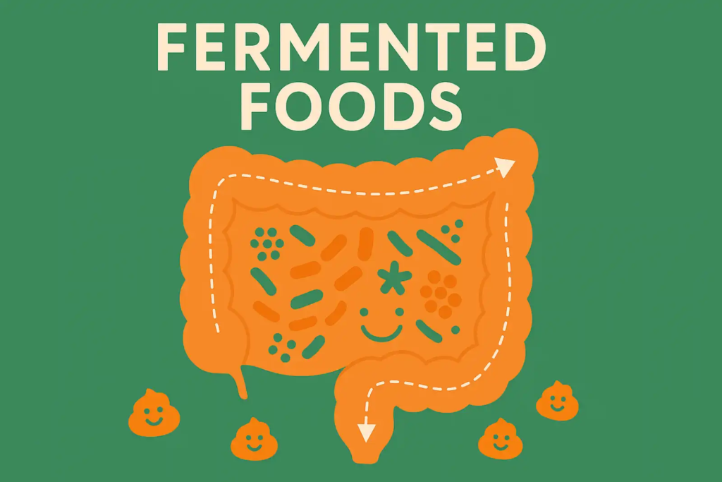 Illustration of a healthy colon filled with probiotics from fermented foods, promoting gut movement and digestion.