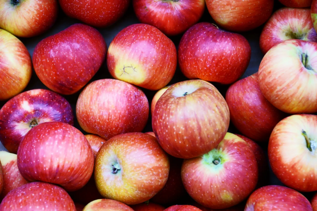 Close-up of freshly picked red apples, showing natural blush and peak-season freshness.