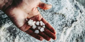 A hand holding coarse, damp sea salt crystals over a salt flat, with more salt covering the ground in the background.