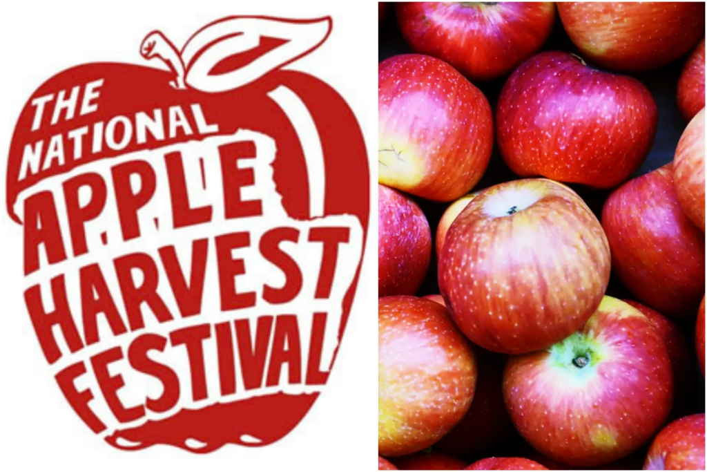 National Apple Harvest Festival logo beside red apples.