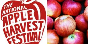 National Apple Harvest Festival logo beside red apples.