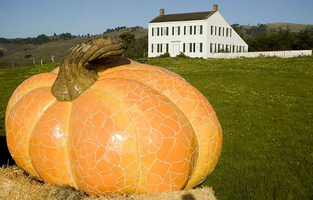 Mosaic-style giant pumpkin on hay with a white farmhouse in the background.